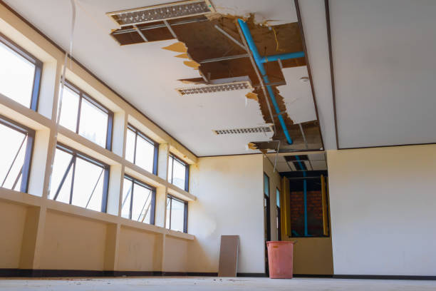 Best Mold removal after water damage  in Cedartown, GA