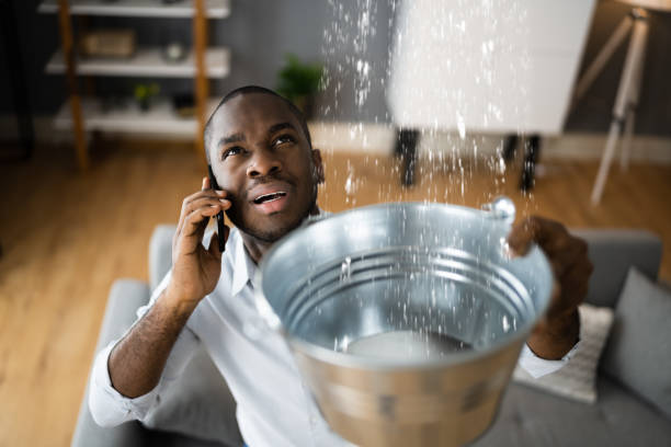Best Water damage contractors near me  in Cedartown, GA
