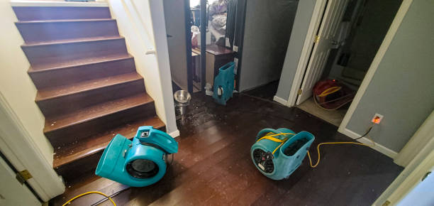 Best Flood restoration services  in Cedartown, GA