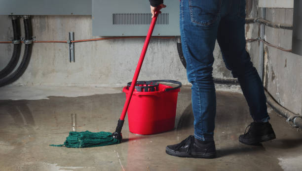 Best Flood damage cleanup  in Cedartown, GA