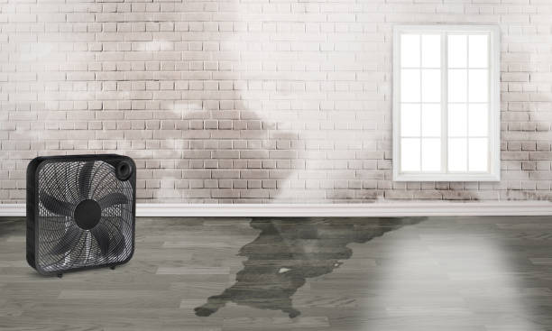 Best Professional water damage repair  in Cedartown, GA