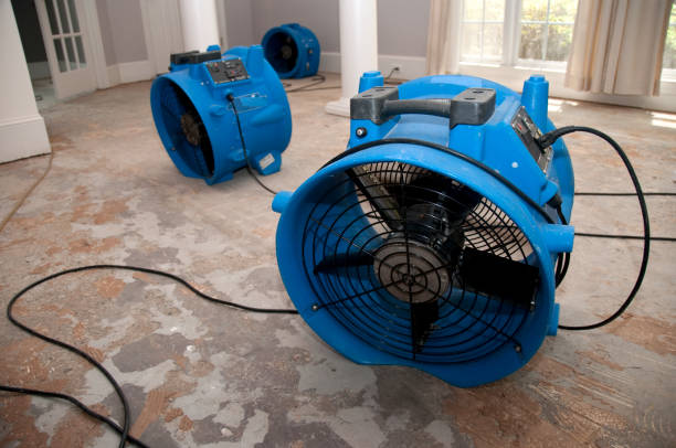 Best Flood damage cleanup  in Cedartown, GA