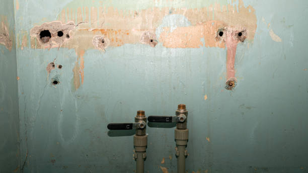Best Sewage cleanup and water damage restoration  in Cedartown, GA