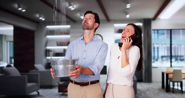Best Water damage repair service  in Cedartown, GA