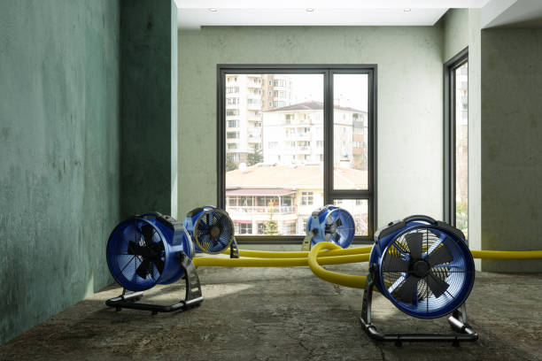 Trusted GA Water damage restoration Experts