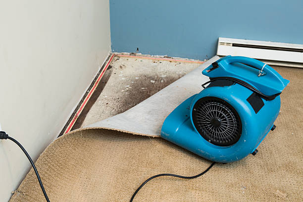 Best Water damage restoration cost  in Cedartown, GA