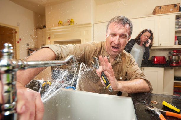 Best Flooded house restoration  in Cedartown, GA